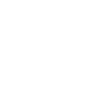 https://www.smt.cloud/wp-content/uploads/2019/03/icona_dem_bianca.png